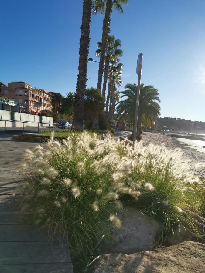 Ofdl B T1 Bandol - Briotine Foyalais Apartment Exterior photo