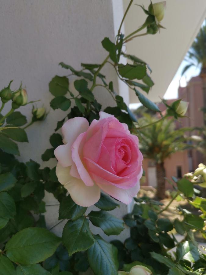 Ofdl B T1 Bandol - Briotine Foyalais Apartment Exterior photo